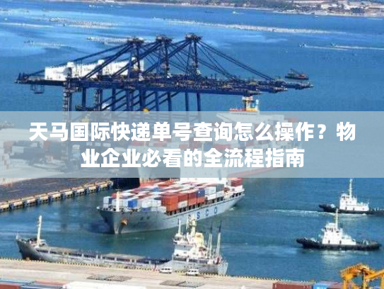 天马国际快递单号查询怎么操作？物业企业必看的全流程指南