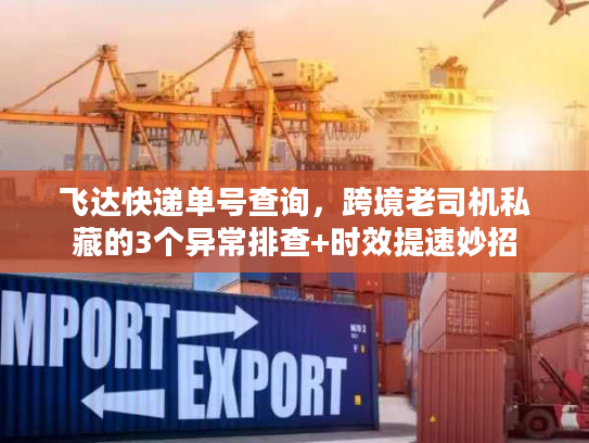 飞达快递单号查询，跨境老司机私藏的3个异常排查+时效提速妙招