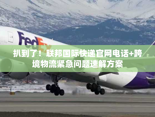 扒到了！联邦国际快递官网电话+跨境物流紧急问题速解方案