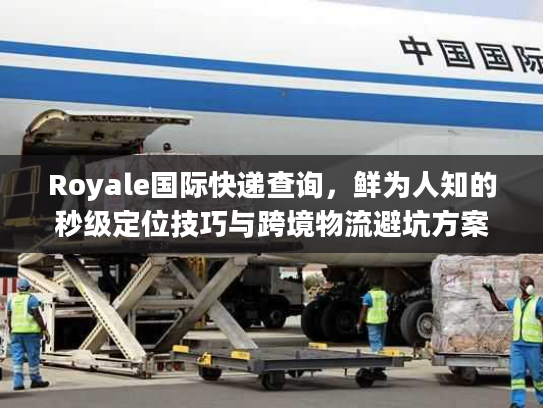 Royale国际快递查询，鲜为人知的秒级定位技巧与跨境物流避坑方案