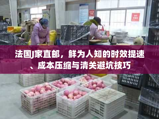 法国J家直邮，鲜为人知的时效提速、成本压缩与清关避坑技巧