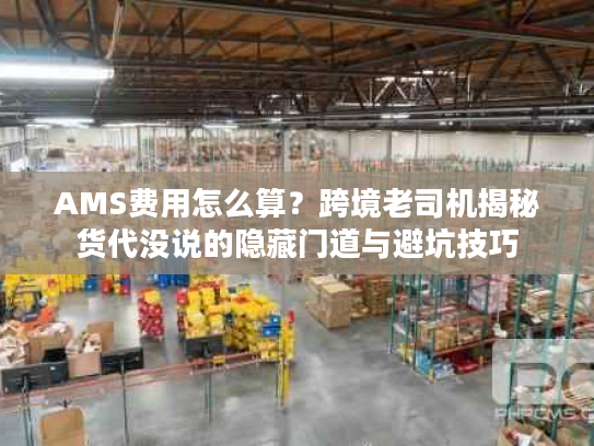 AMS费用怎么算？跨境老司机揭秘货代没说的隐藏门道与避坑技巧