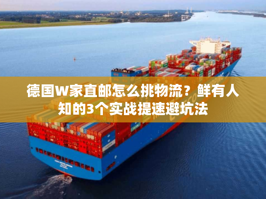 德国W家直邮怎么挑物流？鲜有人知的3个实战提速避坑法