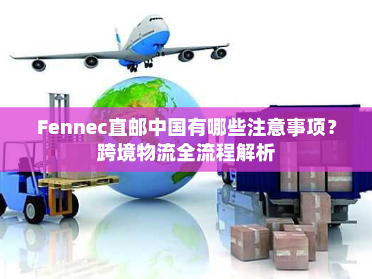 Fennec直邮中国有哪些注意事项？跨境物流全流程解析