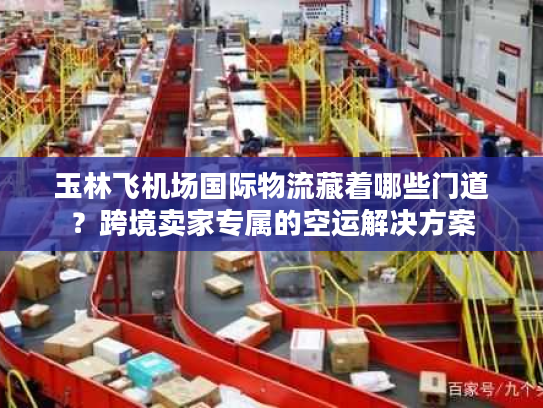 玉林飞机场国际物流藏着哪些门道?跨境卖家专属的空运解决方案 玉林飞机场国际物流藏着哪些门道?跨境卖家专属的空运解决方案
