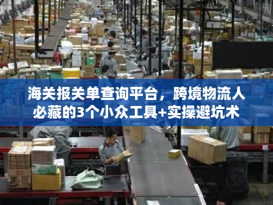 海关报关单查询平台，跨境物流人必藏的3个小众工具+实操避坑术