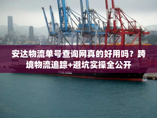 安达物流单号查询网真的好用吗？跨境物流追踪+避坑实操全公开