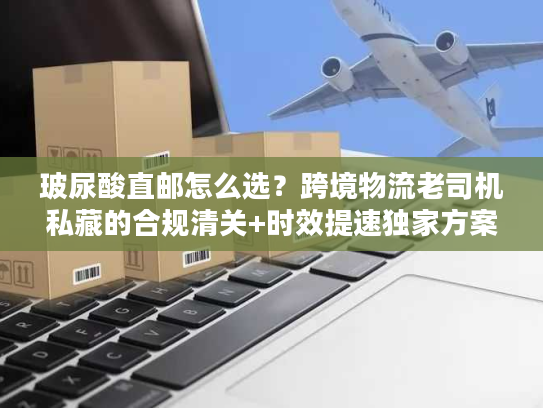 玻尿酸直邮怎么选？跨境物流老司机私藏的合规清关+时效提速独家方案