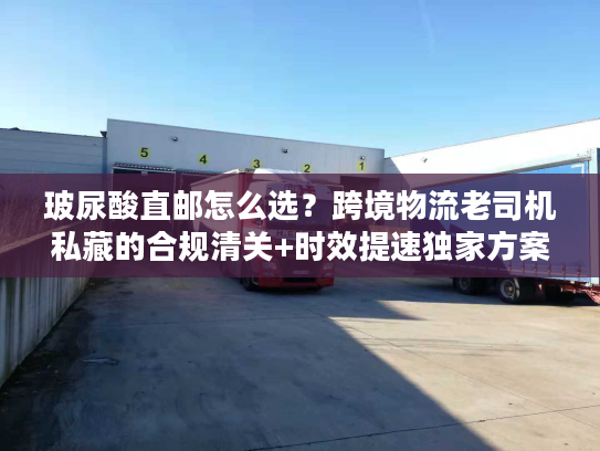玻尿酸直邮怎么选？跨境物流老司机私藏的合规清关+时效提速独家方案