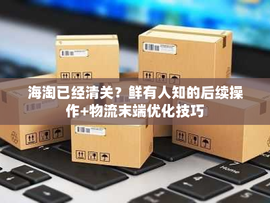海淘已经清关？鲜有人知的后续操作+物流末端优化技巧