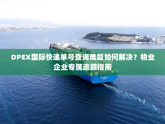 DPEX国际快递单号查询难题如何解决？物业企业专属追踪指南