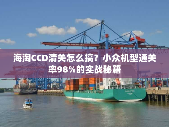 海淘CCD清关怎么搞？小众机型通关率98%的实战秘籍