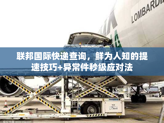 联邦国际快递查询，鲜为人知的提速技巧+异常件秒级应对法