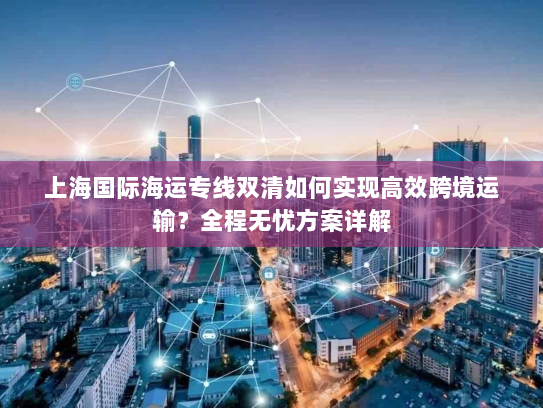 上海国际海运专线双清如何实现高效跨境运输？全程无忧方案详解