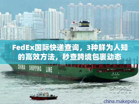 FedEx国际快递查询，3种鲜为人知的高效方法，秒查跨境包裹动态