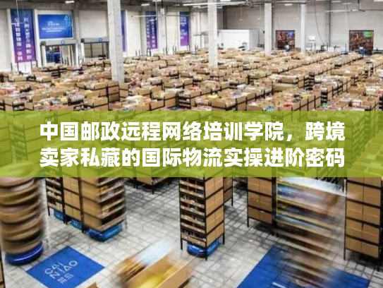 中国邮政远程网络培训学院，跨境卖家私藏的国际物流实操进阶密码