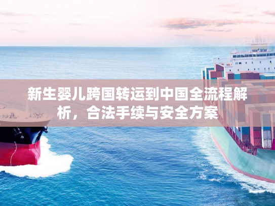 新生婴儿跨国转运到中国全流程解析，合法手续与安全方案