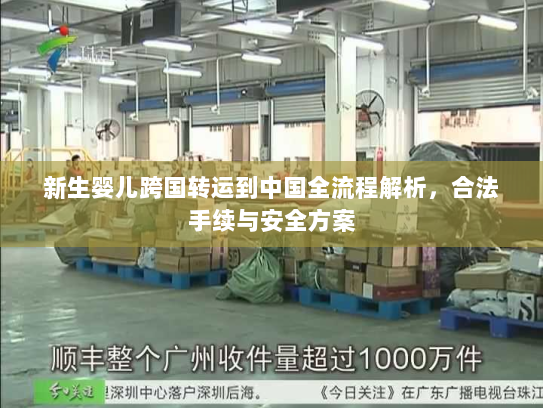 新生婴儿跨国转运到中国全流程解析，合法手续与安全方案
