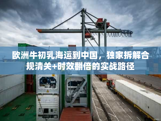 欧洲牛初乳海运到中国，独家拆解合规清关+时效翻倍的实战路径