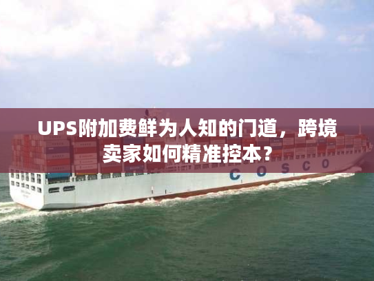 UPS附加费鲜为人知的门道，跨境卖家如何精准控本？