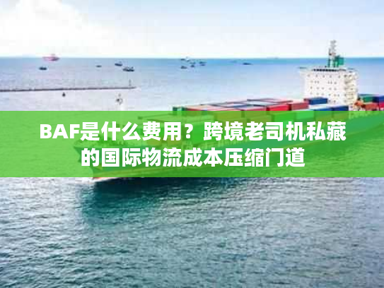 BAF是什么费用？跨境老司机私藏的国际物流成本压缩门道