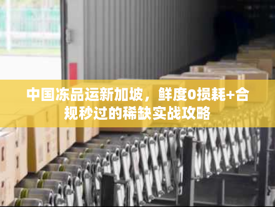 中国冻品运新加坡，鲜度0损耗+合规秒过的稀缺实战攻略