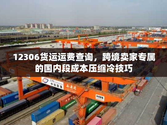 12306货运运费查询，跨境卖家专属的国内段成本压缩冷技巧