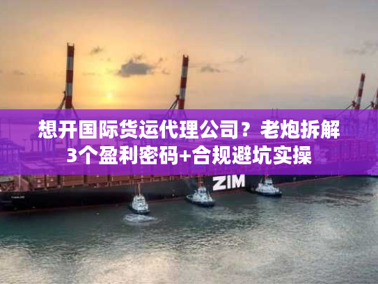 想开国际货运代理公司？老炮拆解3个盈利密码+合规避坑实操