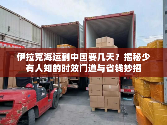 伊拉克海运到中国要几天？揭秘少有人知的时效门道与省钱妙招
