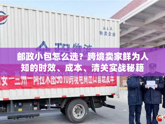 邮政小包怎么选？跨境卖家鲜为人知的时效、成本、清关实战秘籍