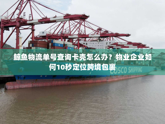 鲸鱼物流单号查询卡壳怎么办？物业企业如何10秒定位跨境包裹