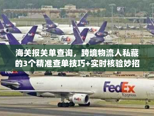 海关报关单查询，跨境物流人私藏的3个精准查单技巧+实时核验妙招