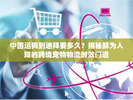 中国运狗到迪拜要多久？揭秘鲜为人知的跨境宠物物流时效门道