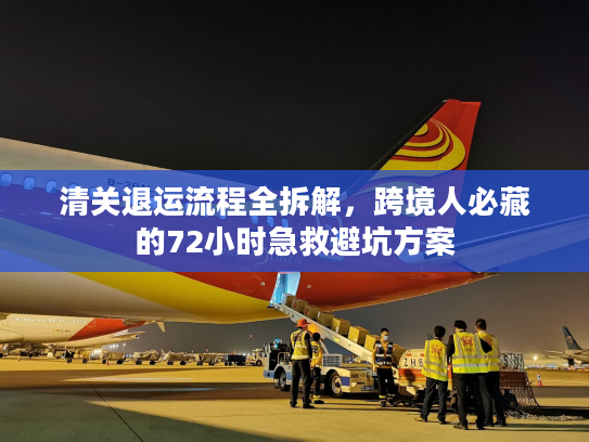 清关退运流程全拆解，跨境人必藏的72小时急救避坑方案