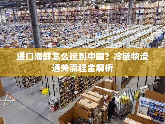进口海鲜怎么运到中国?冷链物流通关流程全解析 进口海鲜怎么运到中国?冷链物流通关流程全解析