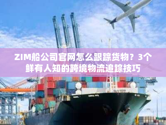 ZIM船公司官网怎么跟踪货物？3个鲜有人知的跨境物流追踪技巧