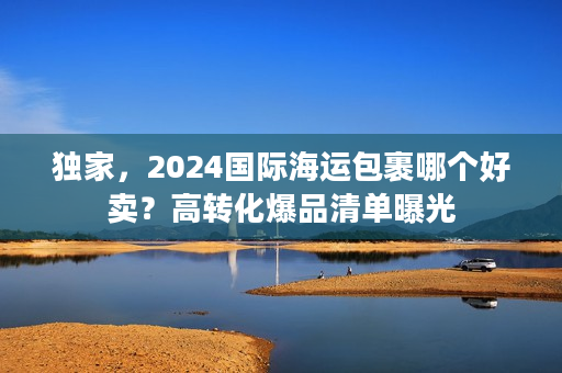 独家，2024国际海运包裹哪个好卖？高转化爆品清单曝光