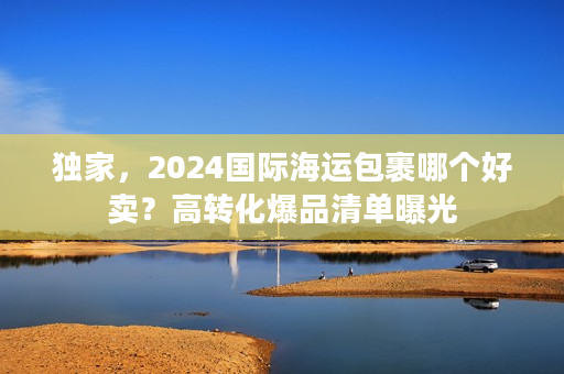 独家，2024国际海运包裹哪个好卖？高转化爆品清单曝光