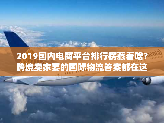 2019国内电商平台排行榜藏着啥？跨境卖家要的国际物流答案都在这