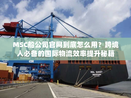 MSC船公司官网到底怎么用？跨境人必备的国际物流效率提升秘籍