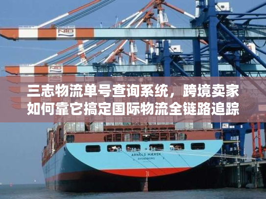 三志物流单号查询系统，跨境卖家如何靠它搞定国际物流全链路追踪？