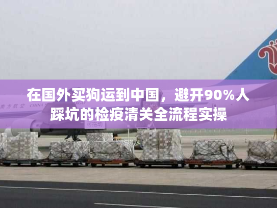 在国外买狗运到中国，避开90%人踩坑的检疫清关全流程实操