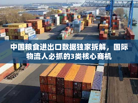中国粮食进出口数据独家拆解，国际物流人必抓的3类核心商机