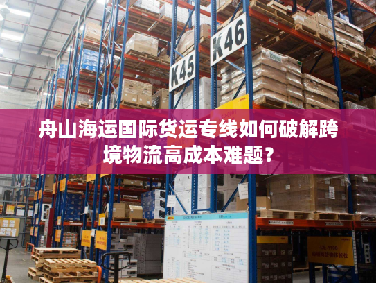 舟山海运国际货运专线如何破解跨境物流高成本难题? 舟山海运国际货运专线如何破解跨境物流高成本难题?