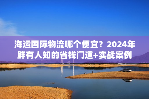 海运国际物流哪个便宜？2024年鲜有人知的省钱门道+实战案例