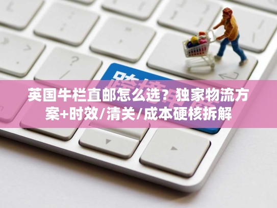 英国牛栏直邮怎么选？独家物流方案+时效/清关/成本硬核拆解