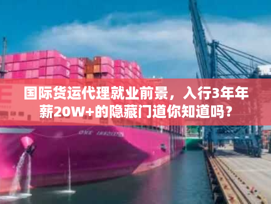 国际货运代理就业前景,入行3年年薪20W+的隐藏门道你知道吗? 国际货运代理就业前景,入行3年年薪20W+的隐藏门道你知道吗?
