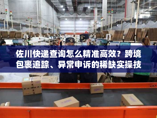 佐川快递查询怎么精准高效？跨境包裹追踪、异常申诉的稀缺实操技巧