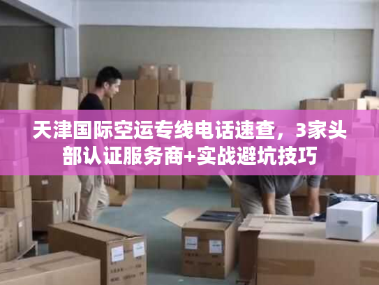 天津国际空运专线电话速查，3家头部认证服务商+实战避坑技巧