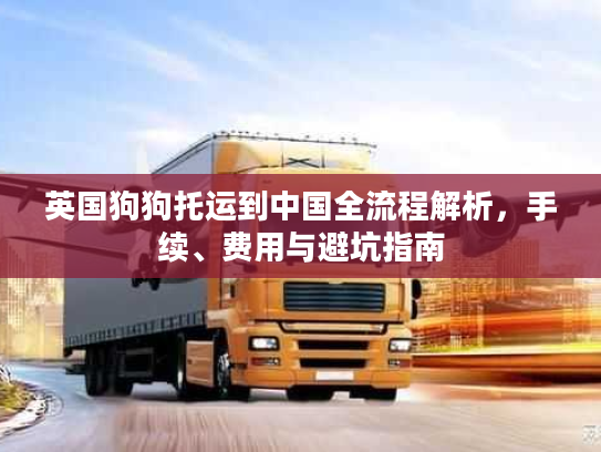 英国狗狗托运到中国全流程解析，手续、费用与避坑指南
